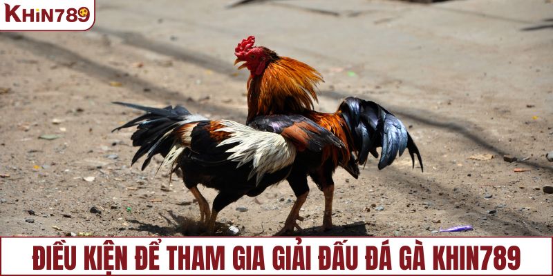 Điều kiện cơ bản để tham gia giải đấu đá gà KHIN789