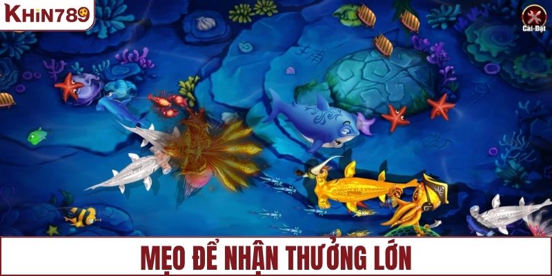 Mẹo giúp người chơi nhận về phần thưởng lớn