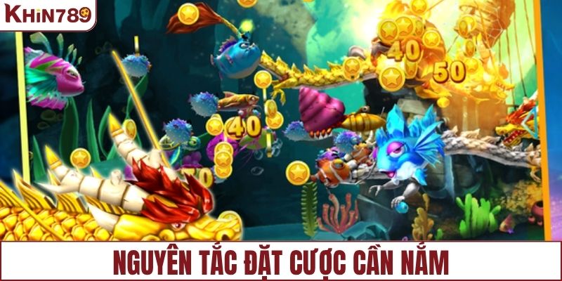 Nguyên tắc đặt cược cơ bản cho người chơi