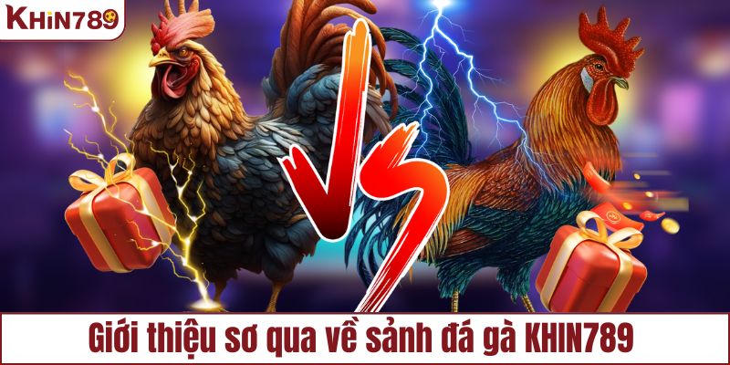 Tổng quan về sảnh đá gà KHIN789