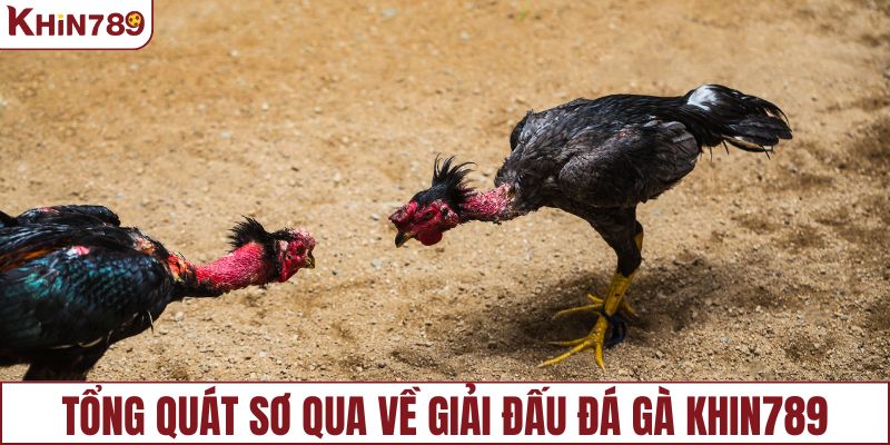 Tổng quát về giải đấu đá gà KHIN789
