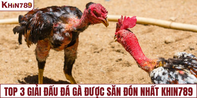 Top 3 giải đấu đá gà được săn đón nhất KHIN789